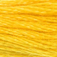 Thread Color LINGUA FRANCA NYC True Yellow