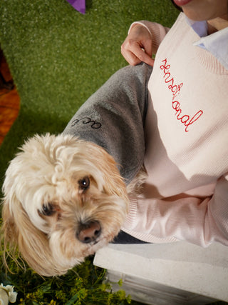 "sensational" Maxine Sweater Cotton Cashmere LINGUA FRANCA NYC