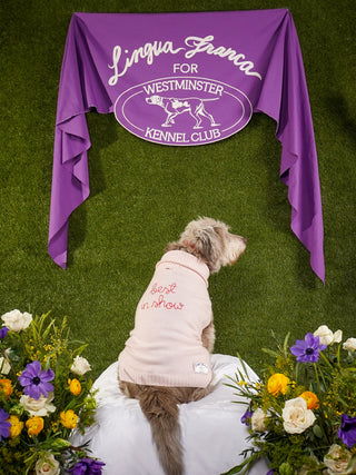 "best in show" Dog Sweater LINGUA FRANCA NYC