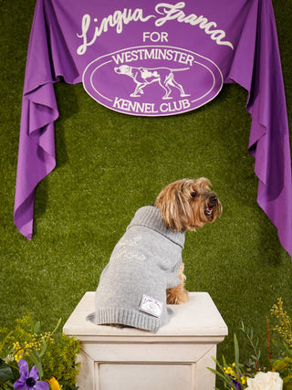 "best in show" Dog Sweater LINGUA FRANCA NYC