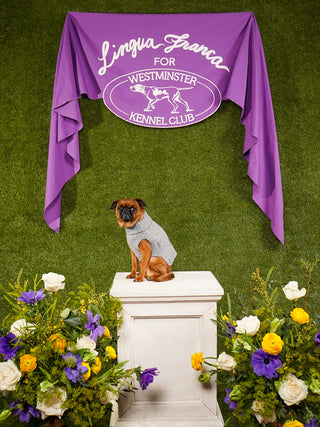 Custom Puppy Love WKC Dog Sweater Wool LINGUA FRANCA NYC