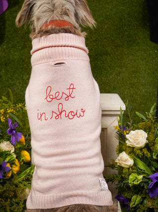 "best in show" Dog Sweater LINGUA FRANCA NYC