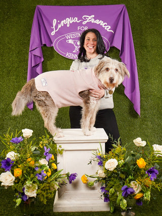 "best in show" Dog Sweater LINGUA FRANCA NYC