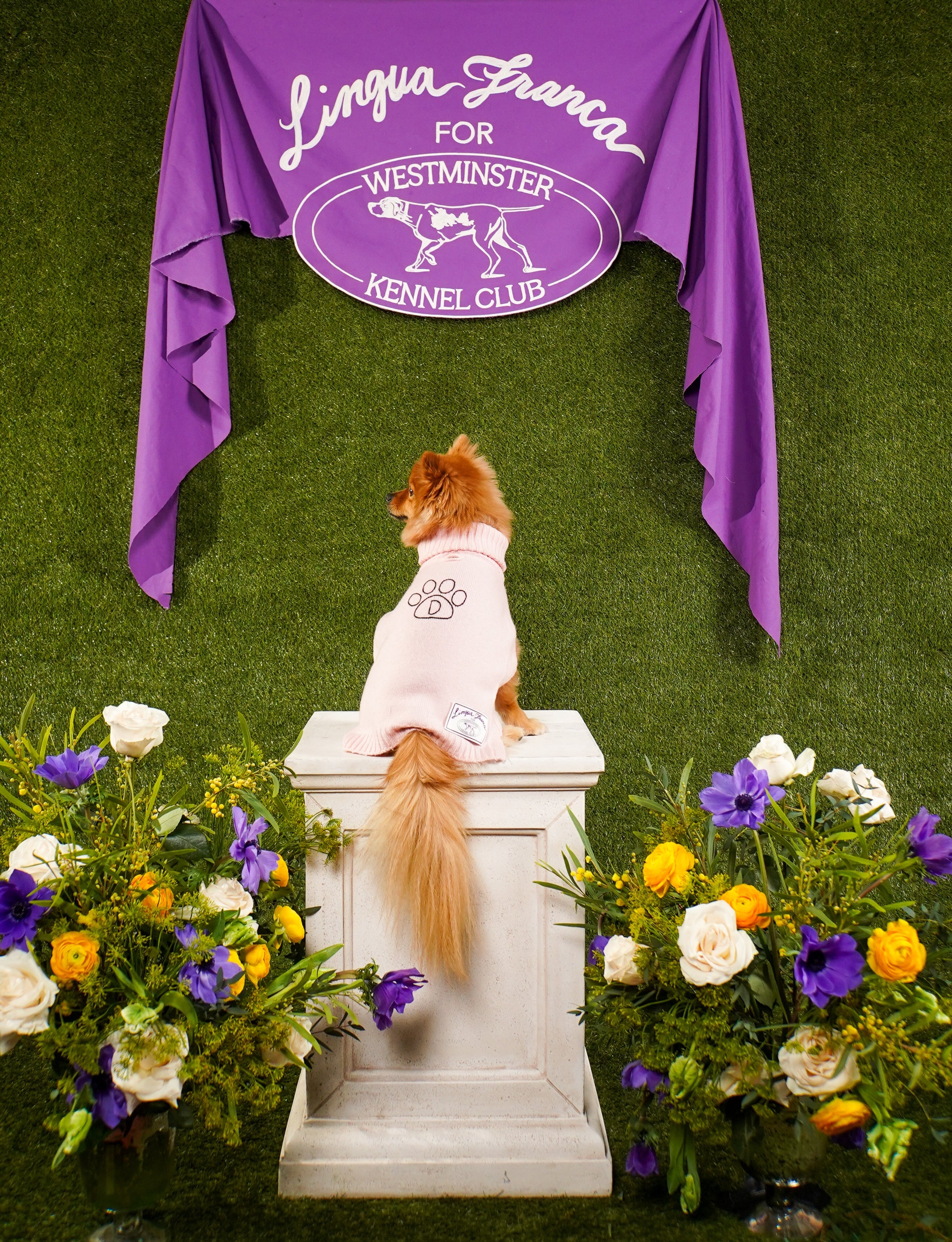 Lingua Franca X Westminster Kennel Club – Lingua Franca NYC