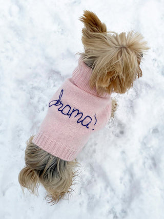 Custom Dog Sweater CUSTOM Lingua Franca NYC   