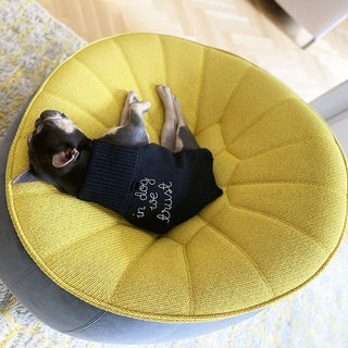 "in dog we trust" Dog Sweater CUSTOM Donation   