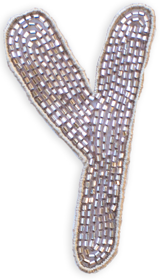 Beaded Letter in Champagne  Lingua Franca NYC OS Y 
