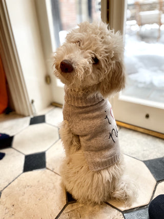 "I heart ny" Dog Sweater Pets Lingua Franca NYC   