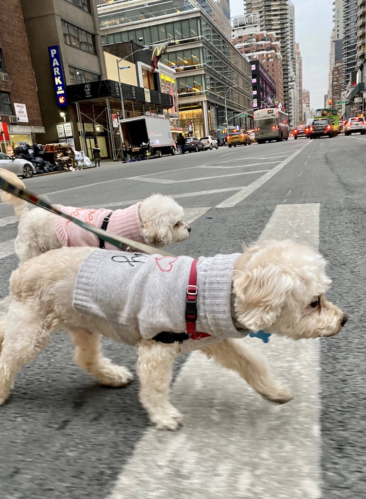 "rebel, rebel" Dog Sweater Pets Lingua Franca NYC 